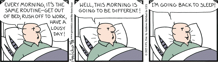 795033b06afe013eb18a005056a9545d