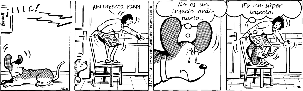 Fred Basset en Español by Alex Graham on Tue, 29 Apr 2025