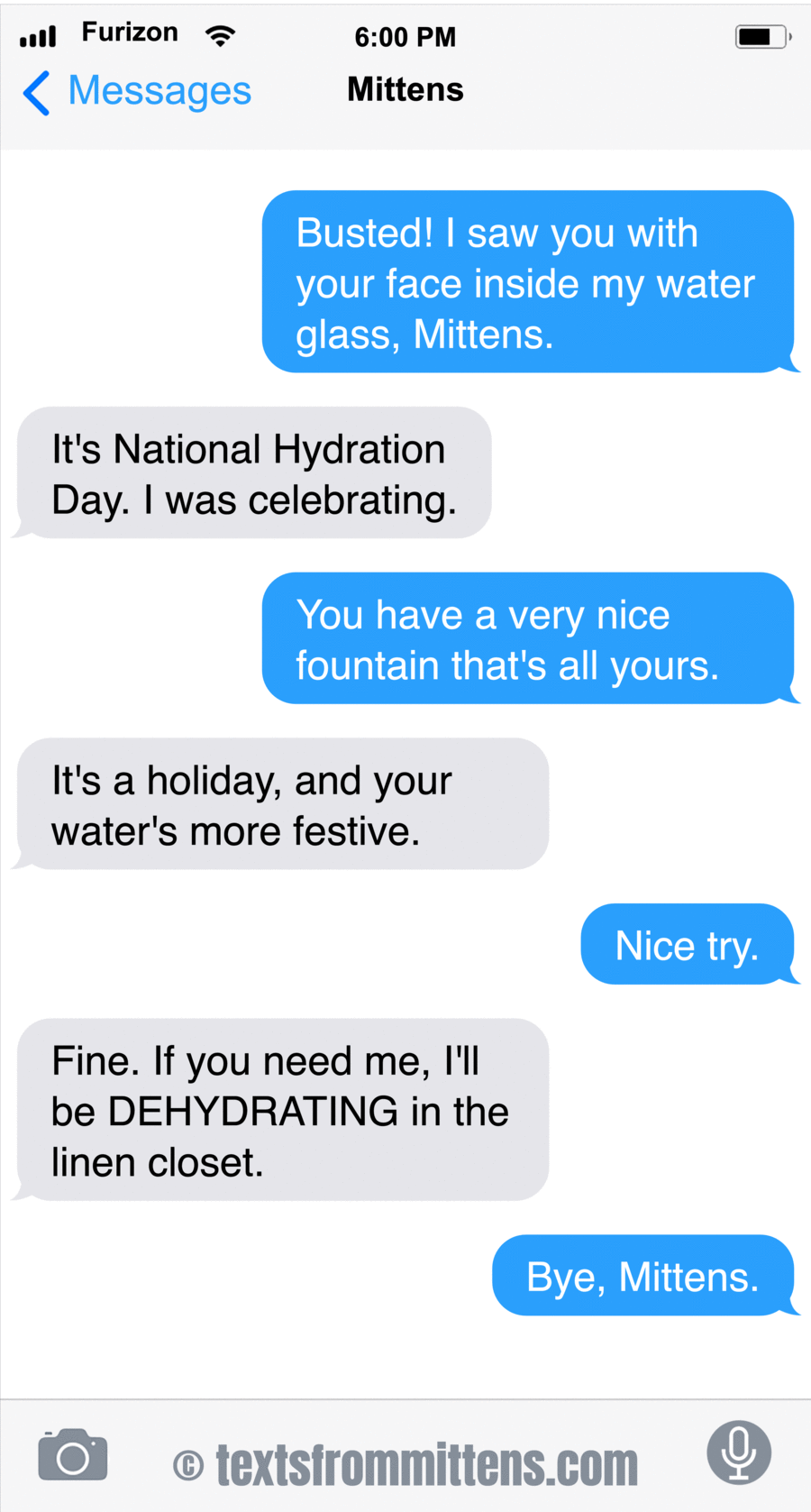 Texts From Mittens by Angie Bailey on Mon, 23 Jun 2025