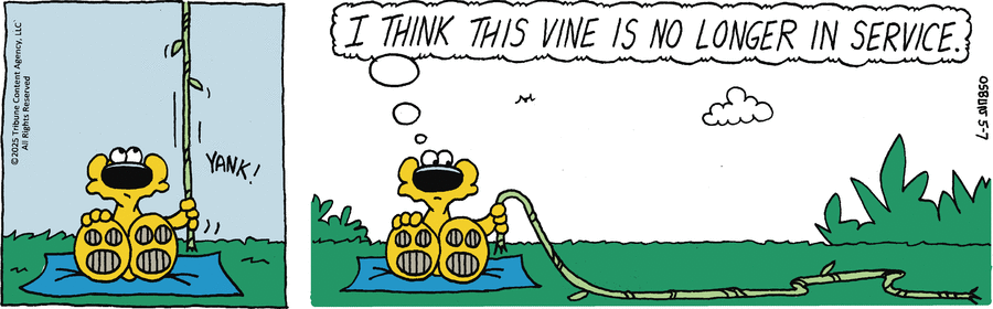 Animal Crackers by Mike Osbun on Wed, 07 May 2025