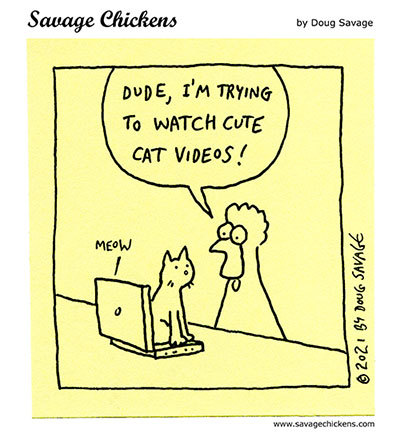 Savage Chickens by Doug Savage on Wed, 21 May 2025