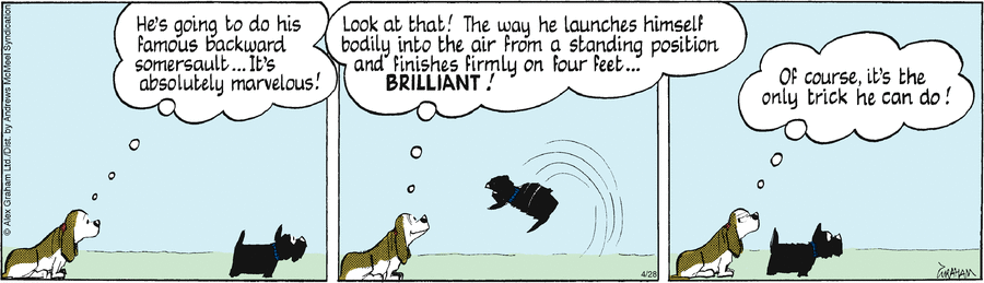 Fred Basset by Alex Graham on Mon, 28 Apr 2025