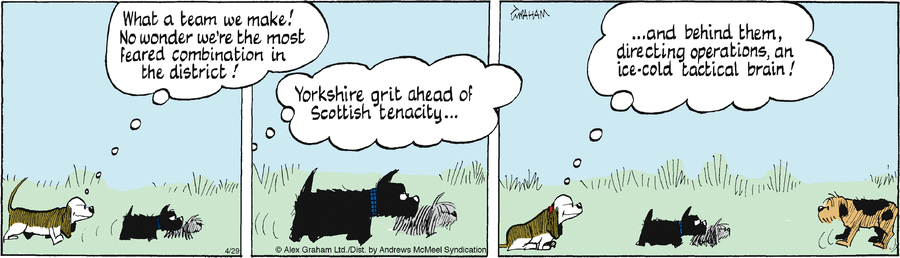 Fred Basset by Alex Graham on Tue, 29 Apr 2025