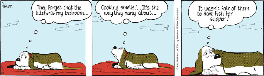Fred Basset by Alex Graham on Thu, 01 May 2025