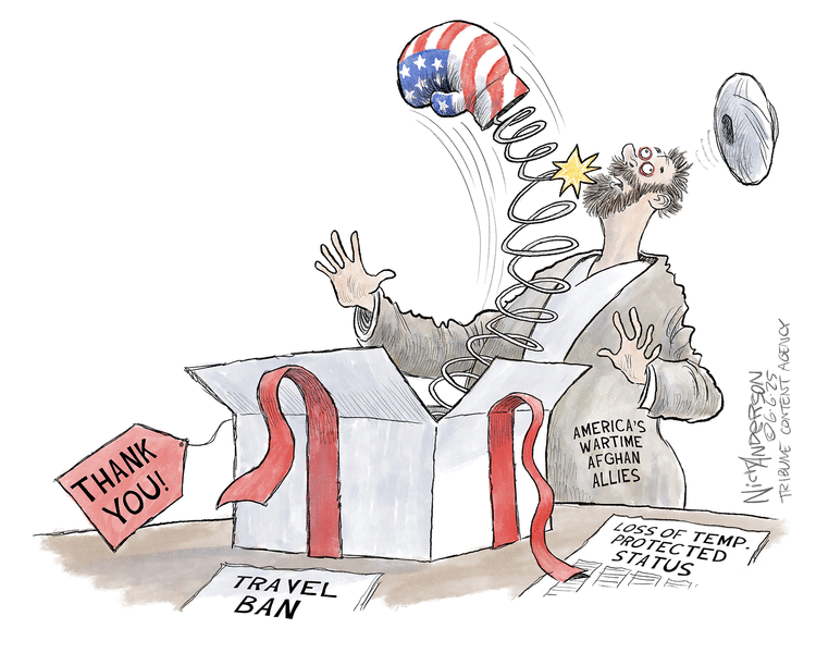 Nick Anderson by Nick Anderson on Sat, 07 Jun 2025