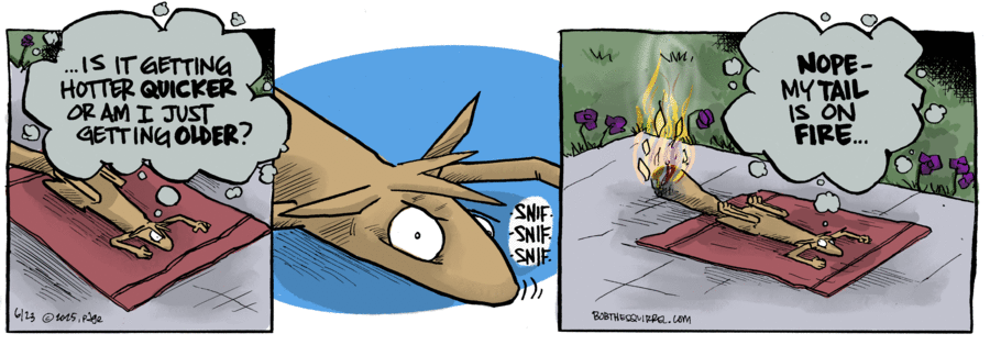 Bob the Squirrel by Frank Page on Mon, 23 Jun 2025