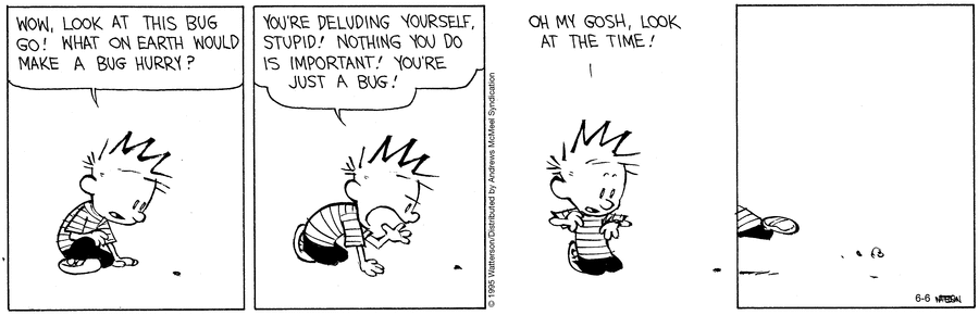Calvin and Hobbes by Bill Watterson on Fri, 06 Jun 2025