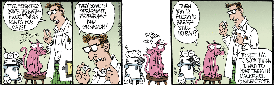 Monty by Jim Meddick  on Tue, 10 Jun 2025