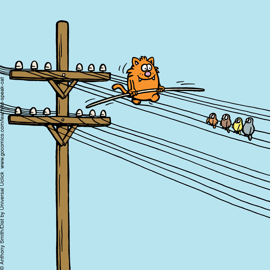 Learn to Speak Cat by Anthony Smith on Fri, 13 Jun 2025