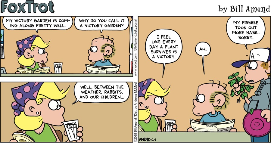 FoxTrot by Bill Amend on Sun, 01 Jun 2025