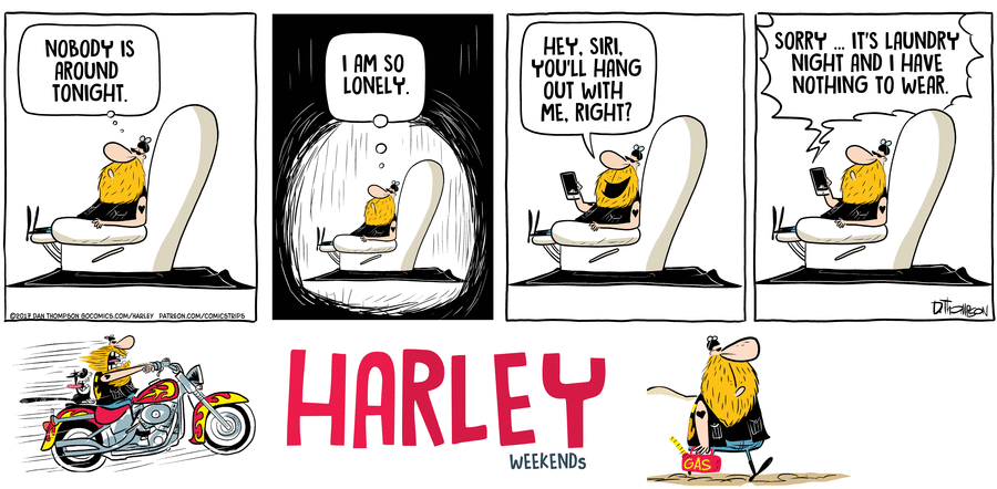 Harley by Dan Thompson on Sat, 03 May 2025