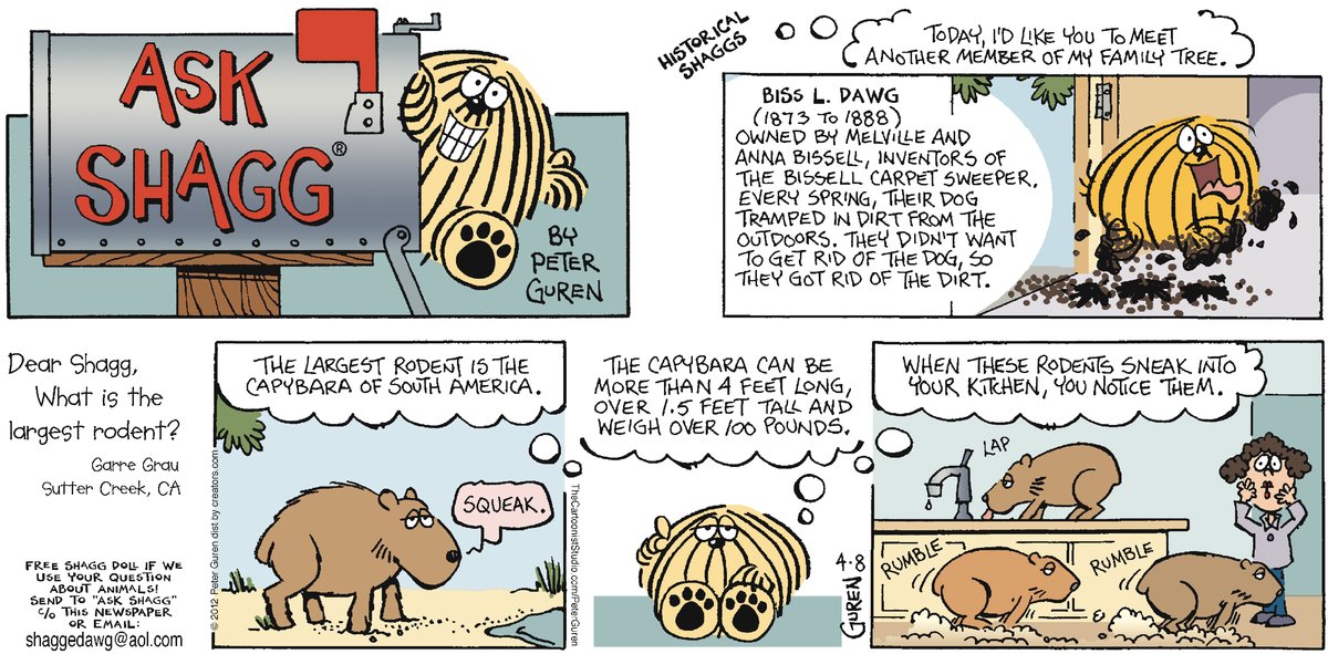 Ask Shagg by Peter Guren on Sun, 01 Jun 2025