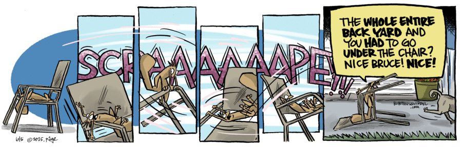 Bob the Squirrel by Frank Page on Thu, 05 Jun 2025