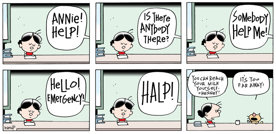 Ten Cats by Graham Harrop on Sun, 15 Jun 2025
