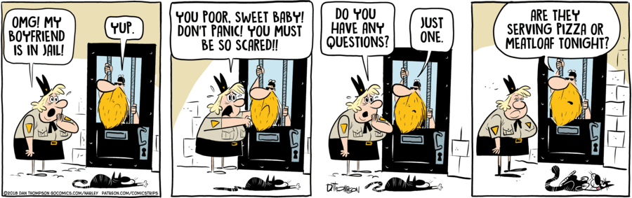 Harley by Dan Thompson on Wed, 28 May 2025