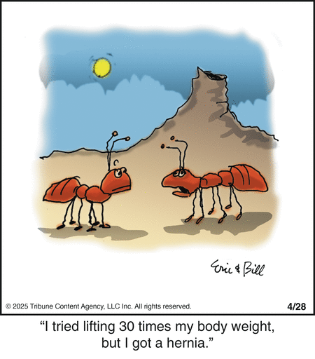 Bottomliners by Eric and Bill Teitelbaum on Mon, 28 Apr 2025