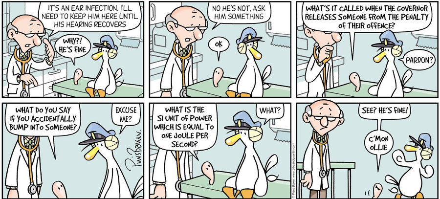 Ollie and Quentin by Piers Baker on Sun, 15 Jun 2025