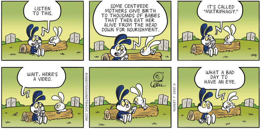 Rabbits Against Magic by Jonathan Lemon on Sun, 22 Jun 2025