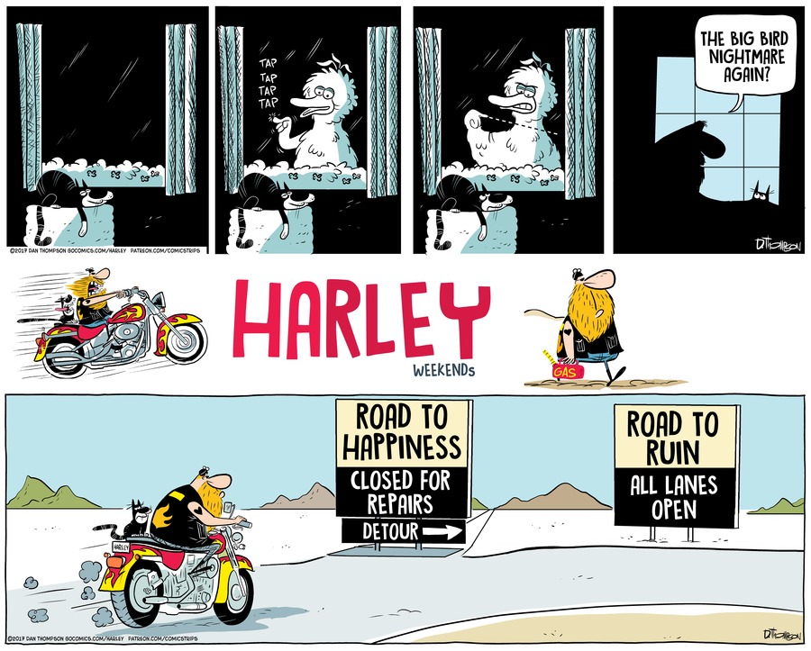 Harley by Dan Thompson on Sun, 04 May 2025