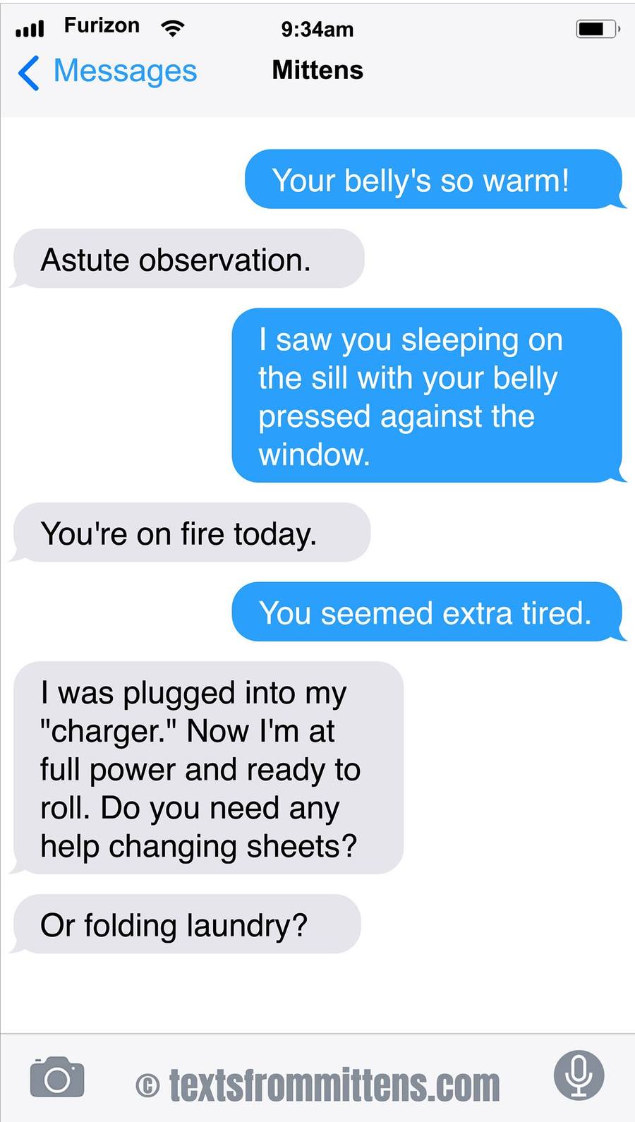 Texts From Mittens by Angie Bailey on Sat, 07 Jun 2025