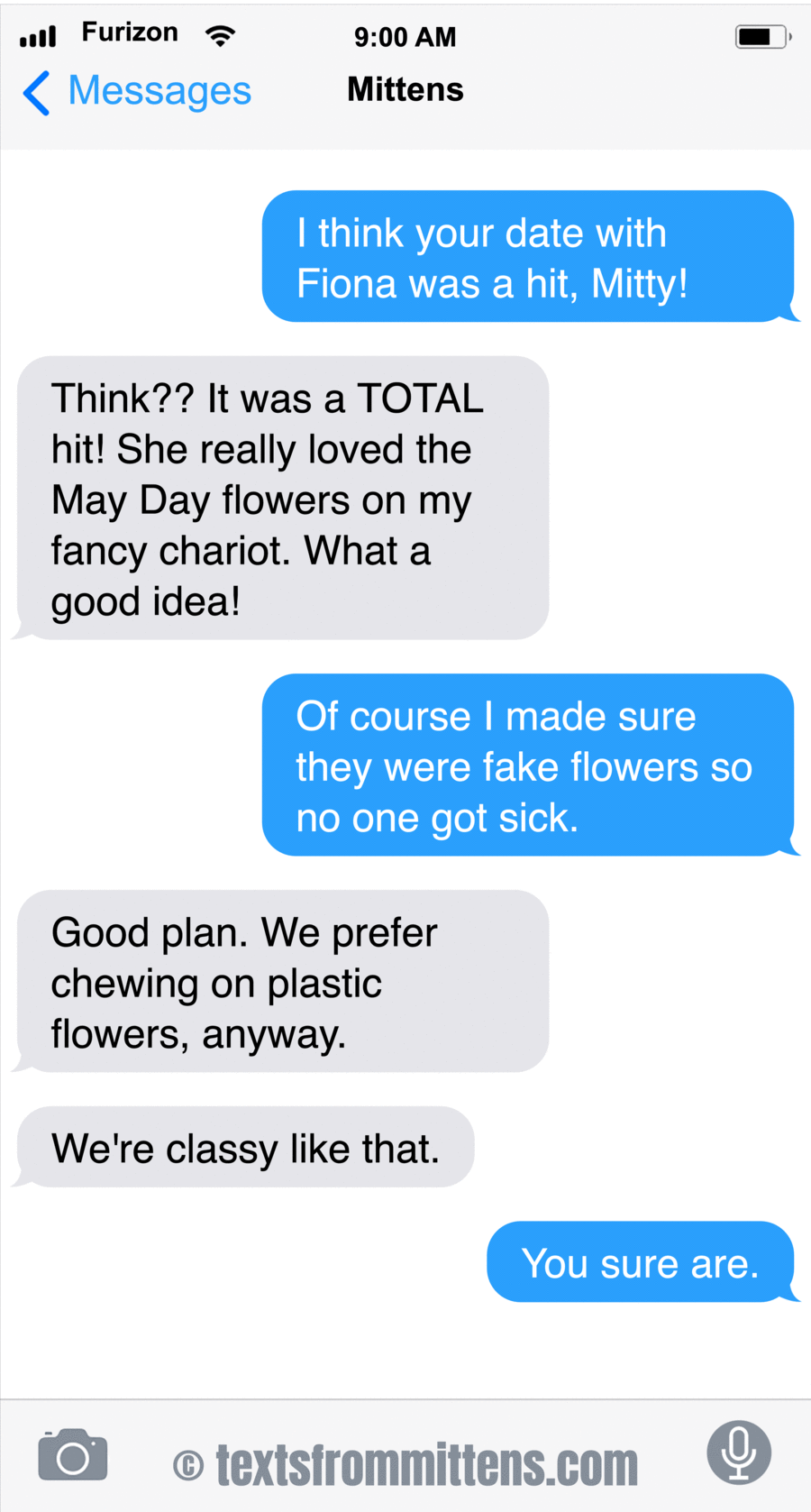 Texts From Mittens by Angie Bailey on Fri, 02 May 2025