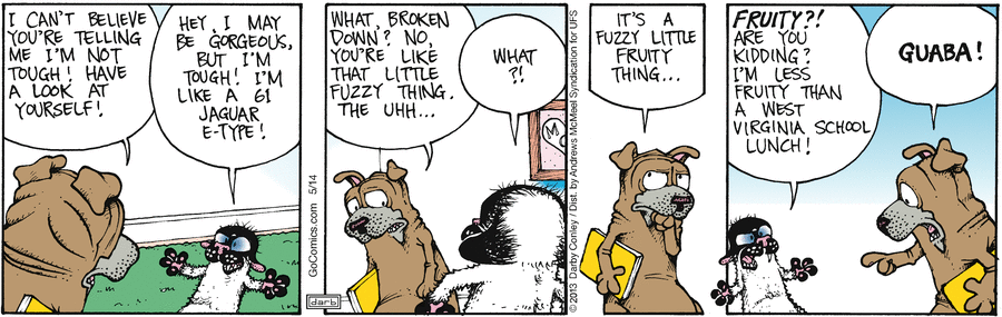 Get Fuzzy by Darby Conley on Wed, 14 May 2025