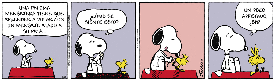 Peanuts en Español by Charles Schulz on Thu, 05 Jun 2025