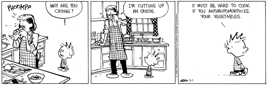 Calvin and Hobbes by Bill Watterson on Thu, 01 May 2025