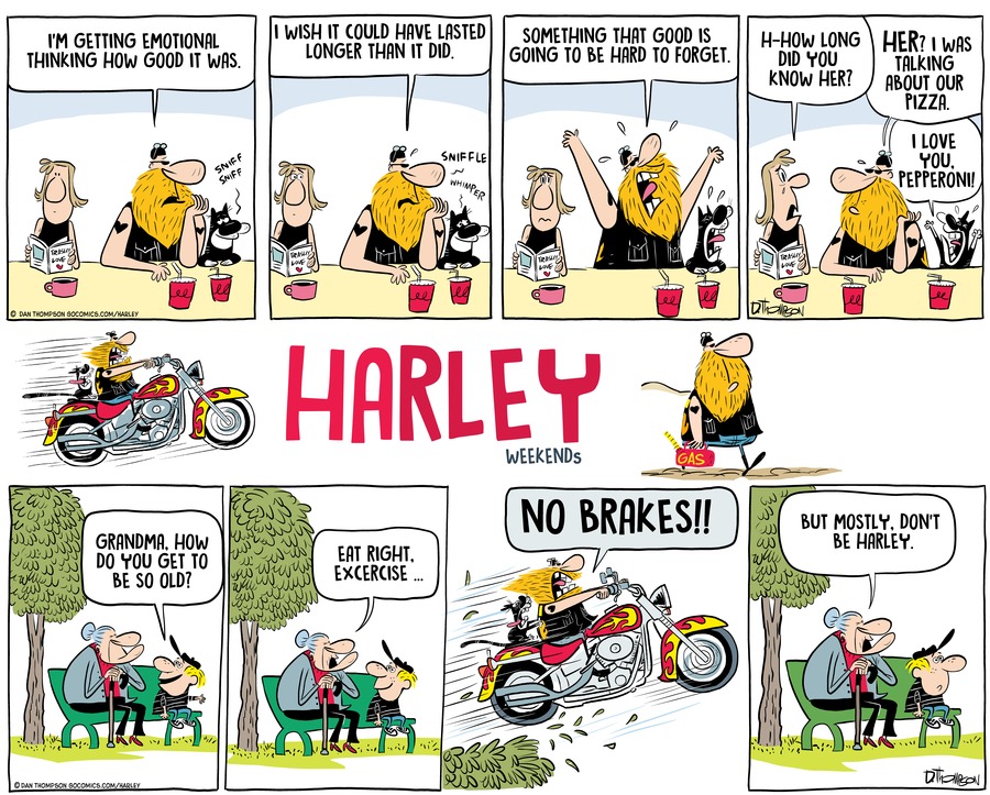 Harley by Dan Thompson on Sun, 01 Jun 2025