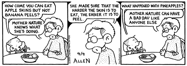 Nest Heads by John Allen on Fri, 30 May 2025