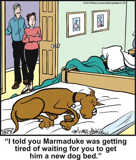 Marmaduke by Brad Anderson on Wed, 21 May 2025