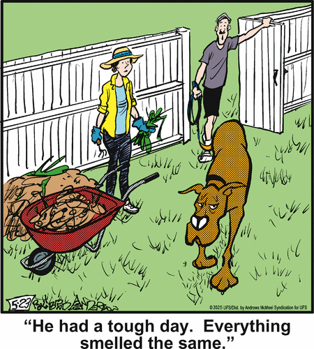 Marmaduke by Brad Anderson on Fri, 23 May 2025