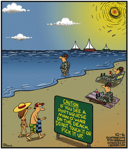 93aa4c007084013eb293005056a9545d