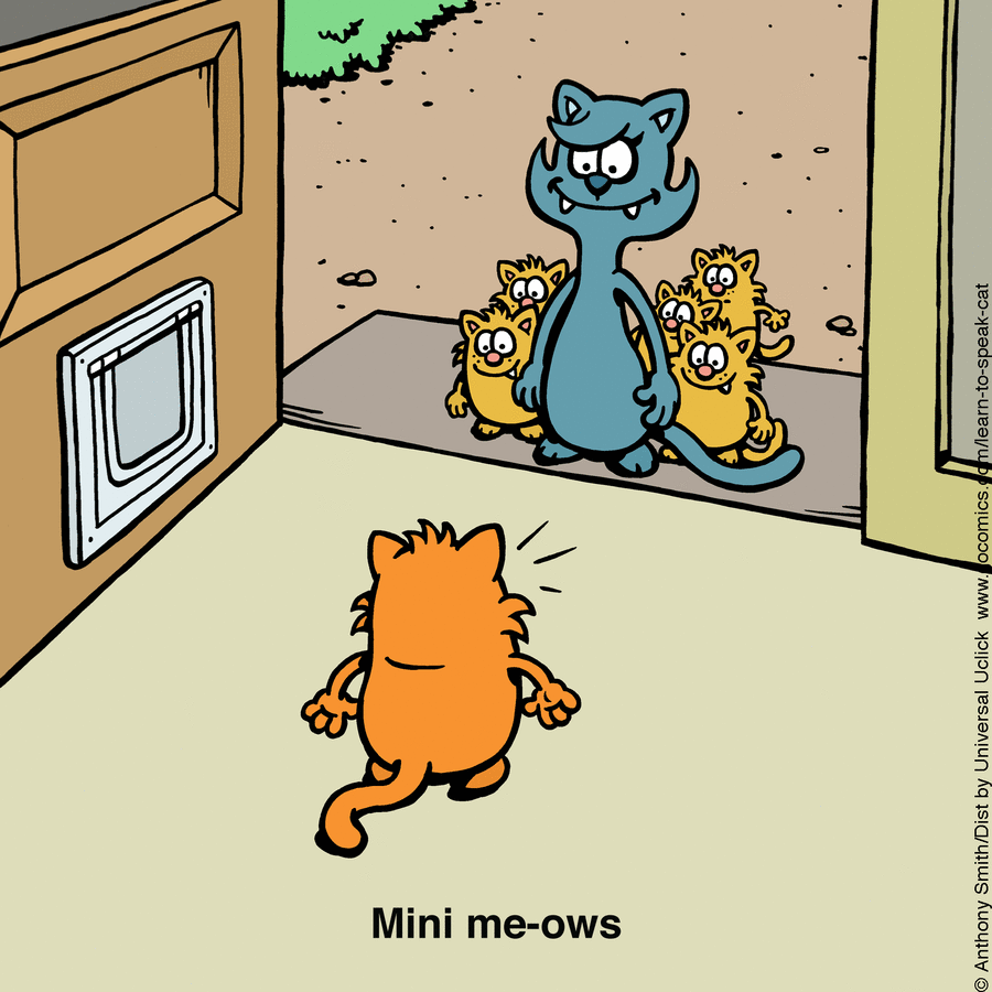 Learn to Speak Cat by Anthony Smith on Mon, 23 Jun 2025