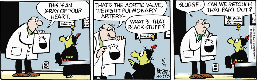 Broom Hilda by Russell Myers on Wed, 14 May 2025