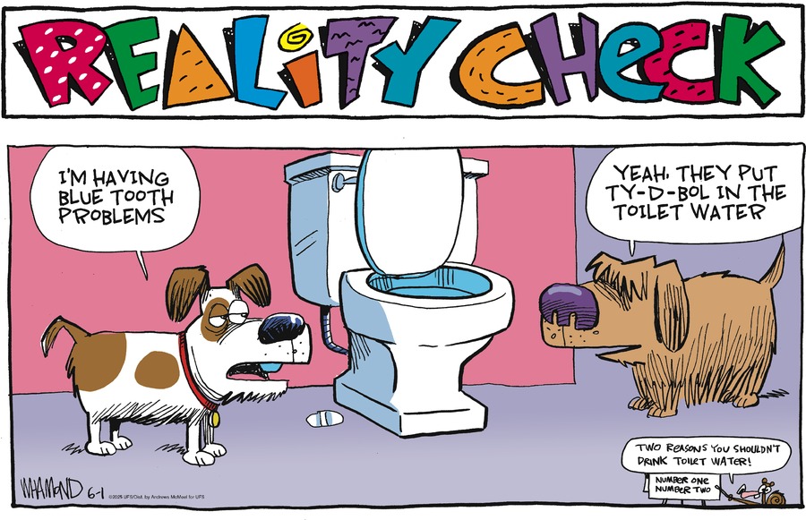 Reality Check by Dave Whamond  on Sun, 01 Jun 2025