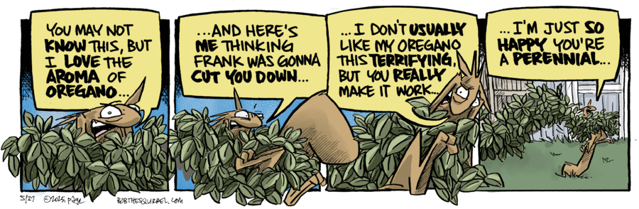 Bob the Squirrel by Frank Page on Tue, 27 May 2025