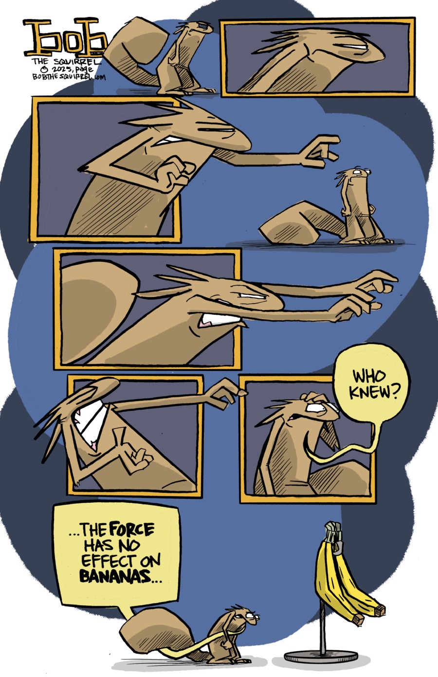 Bob the Squirrel by Frank Page on Sun, 04 May 2025