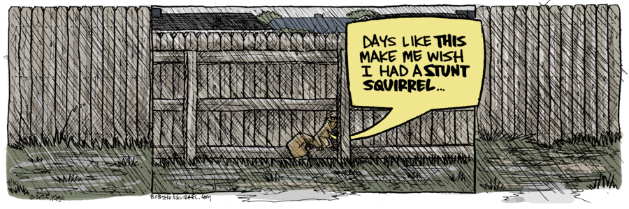 Bob the Squirrel by Frank Page on Wed, 30 Apr 2025