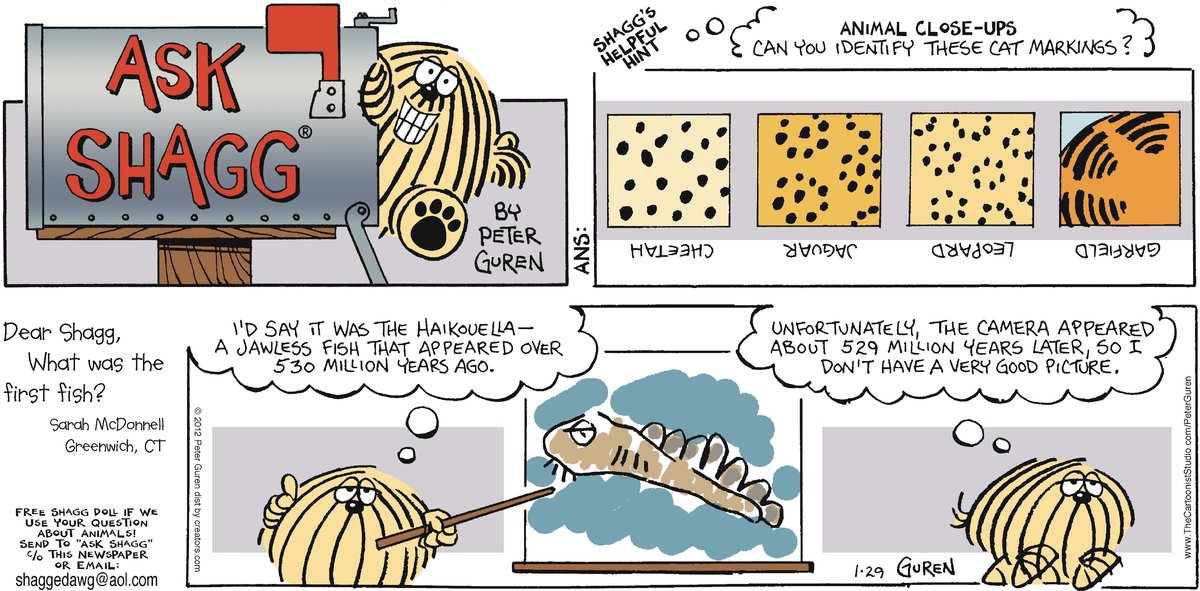 Ask Shagg by Peter Guren on Sun, 27 Apr 2025