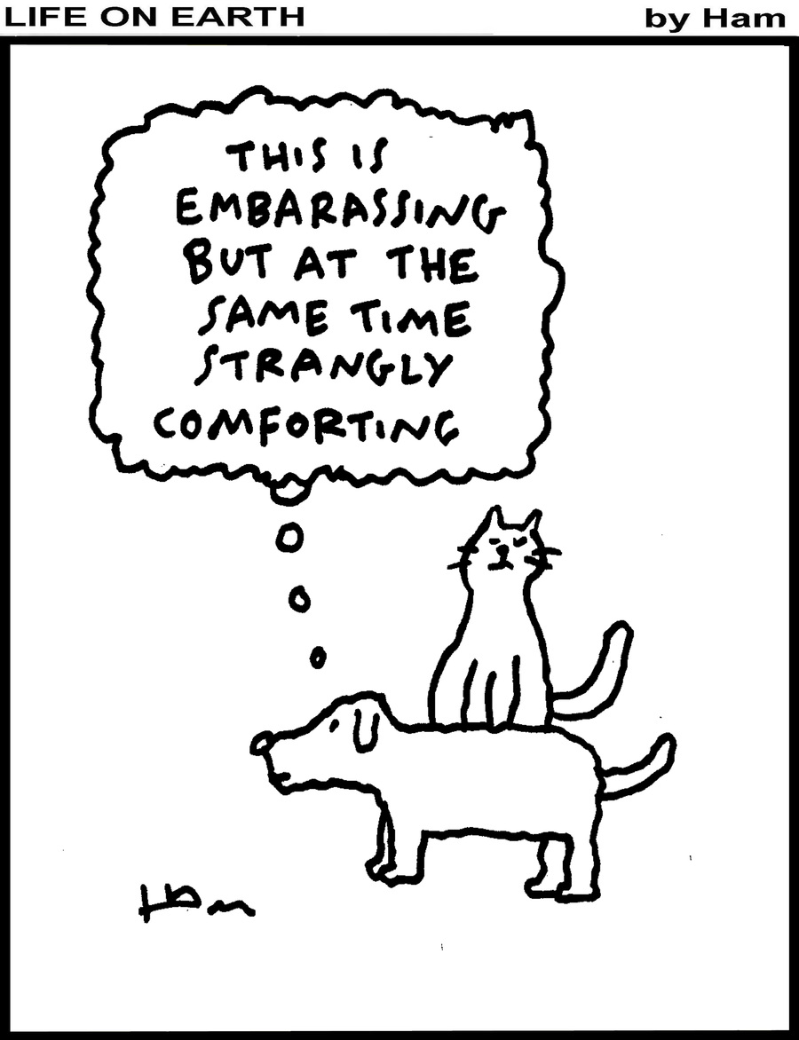 Life on Earth by Ham on Thu, 29 May 2025