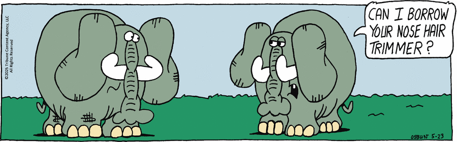 Animal Crackers by Mike Osbun on Fri, 23 May 2025