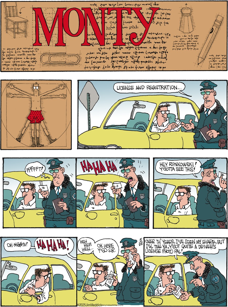 Monty by Jim Meddick  on Sun, 25 May 2025