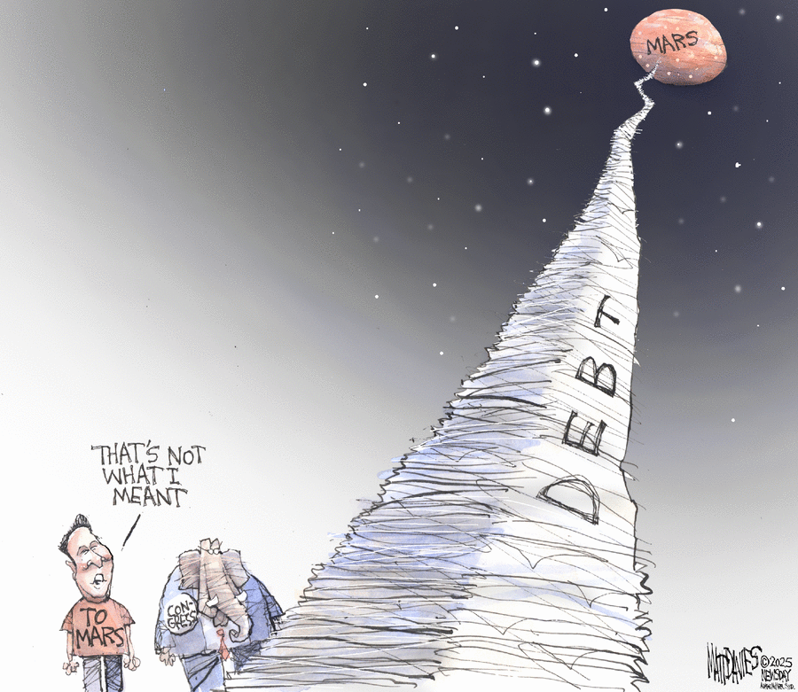 Matt Davies by Matt Davies on Wed, 04 Jun 2025