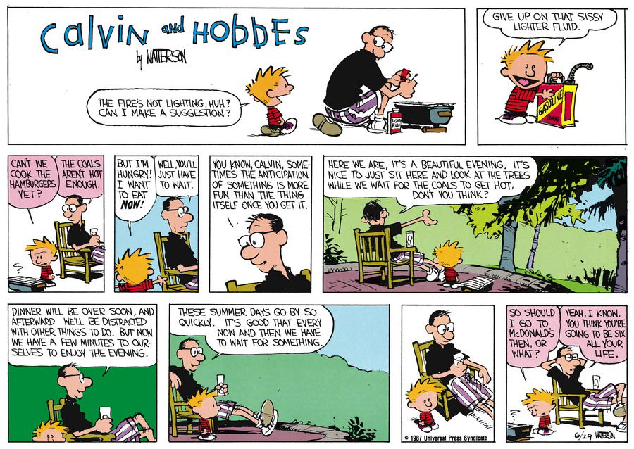 Calvin and Hobbes by Bill Watterson for August 2, 1987