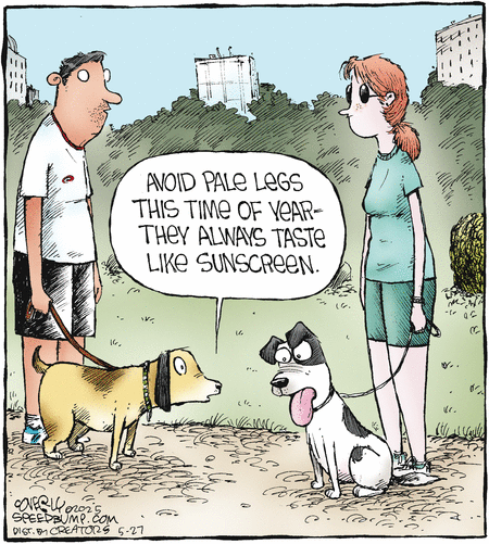 Speed Bump by Dave Coverly on Tue, 27 May 2025