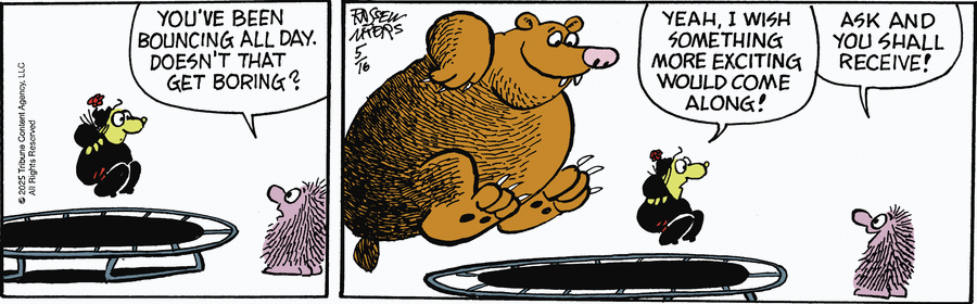 Broom Hilda by Russell Myers on Fri, 16 May 2025