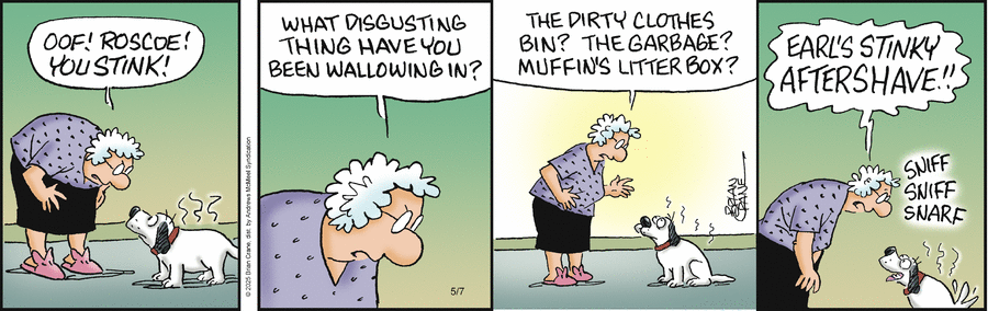 Pickles by Brian Crane on Wed, 07 May 2025
