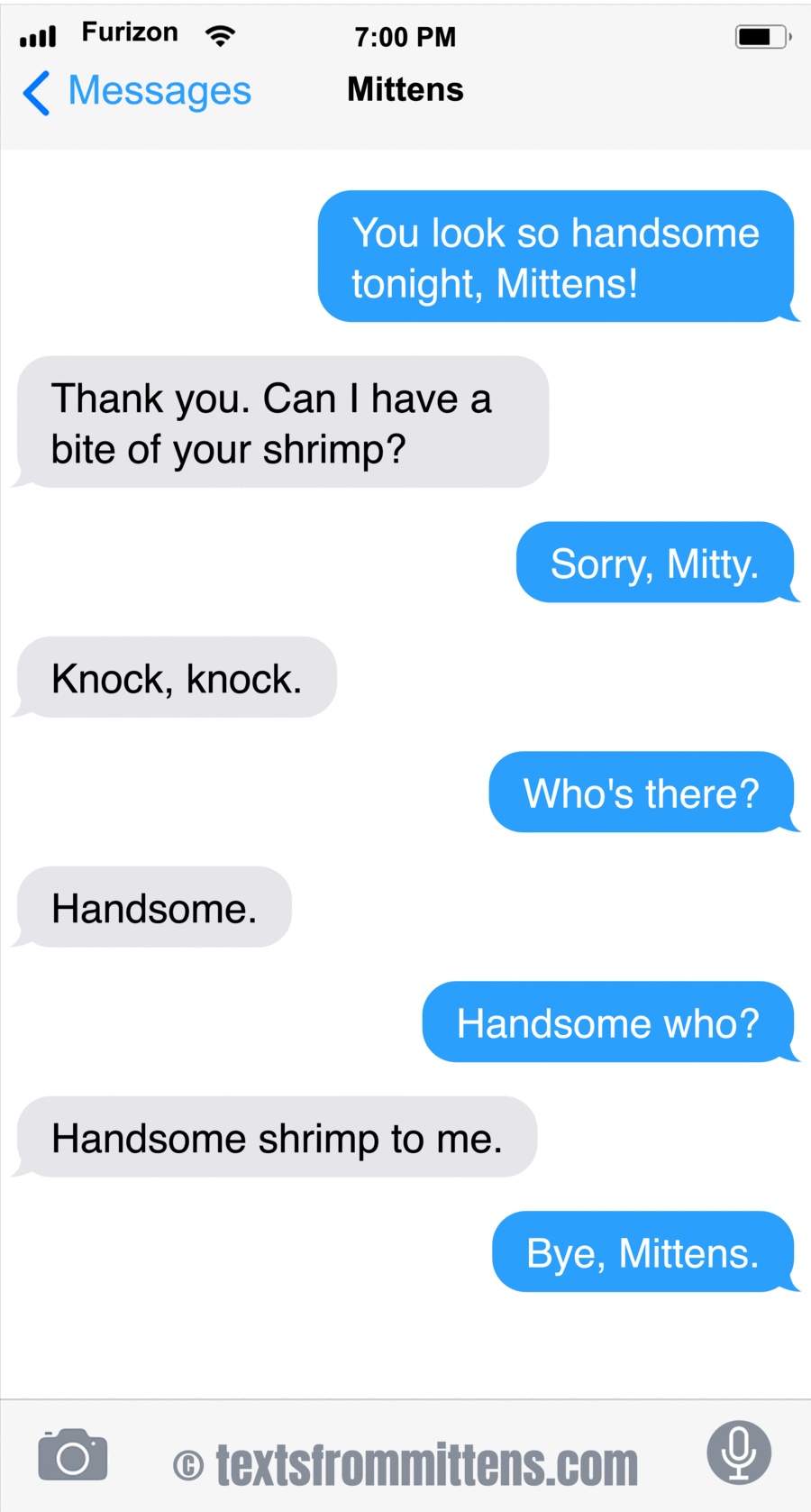 Texts From Mittens by Angie Bailey on Mon, 16 Jun 2025