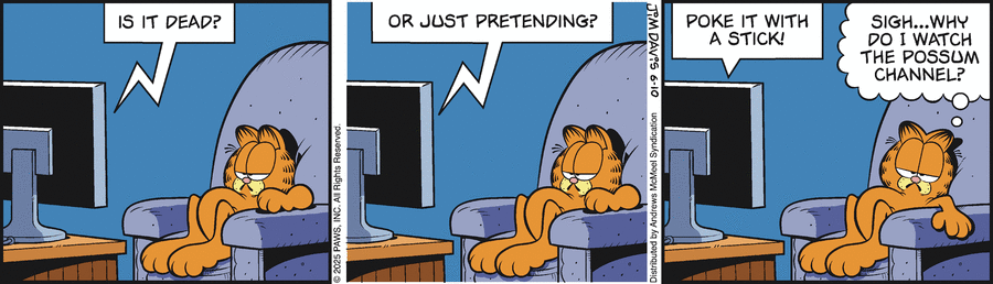 Garfield by Jim Davis on Tue, 10 Jun 2025